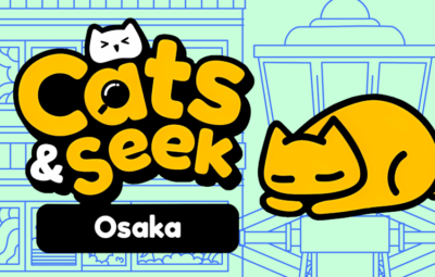 Cats And Seek